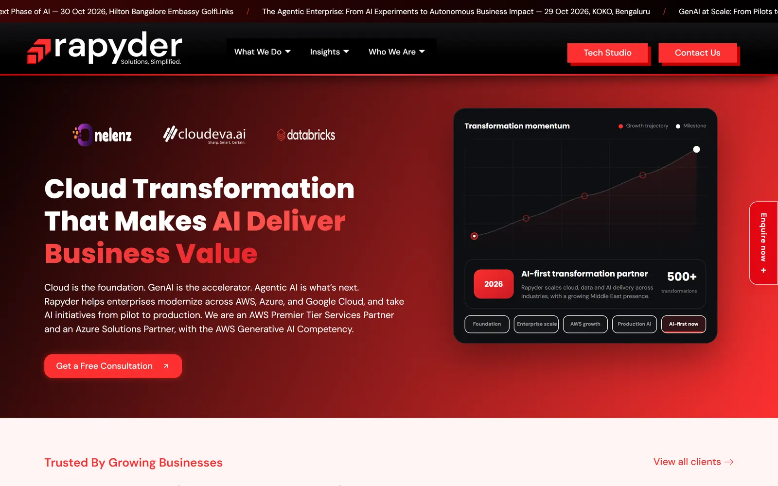 The Rapyder website